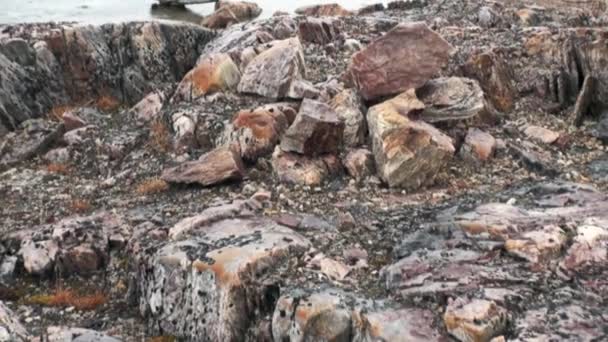 Stones after the melting of ice and snow on background of mountain in Svalbard. — Stock Video