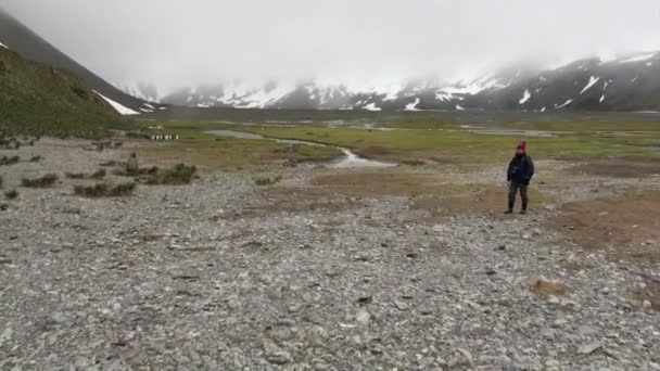 Ragazza fotografa vicino pinguini in montagna di neve in Antartide . — Video Stock