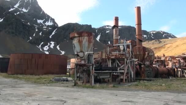 Verlassene Fabrik an der Küste der antarktischen Falklandinseln. — Stockvideo