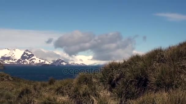 Snowy mountains on background of blue sky with clouds and ocean in Antarctica. — Stock Video