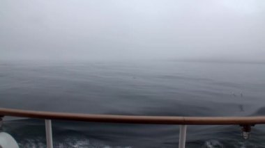 Arktik Okyanusu gemisiyle dalgalardan.