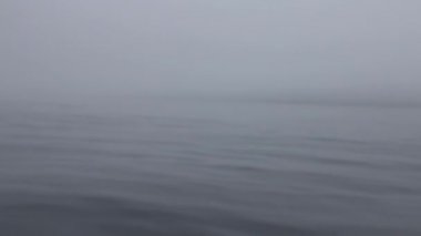 Arktik okyanus su yüzey.