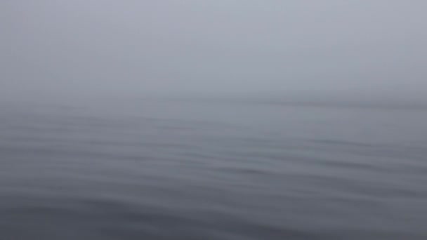 Поверхность воды в океане Арктики . — стоковое видео