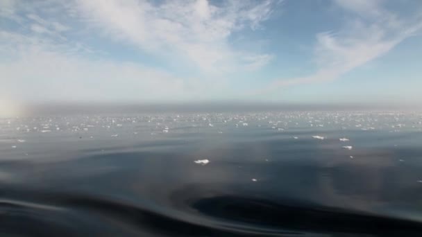 Scenic blue water and ice in ocean of Arctic. — Stock Video