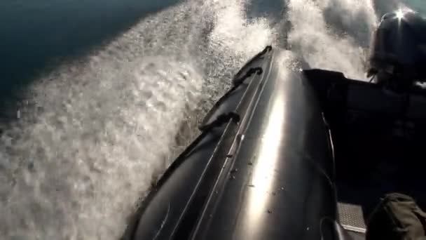 Waves from motor boat in ocean of Arctic. — Stock Video