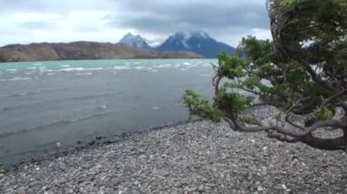 Karlı dağlar panorama okyanus kıyısı Antarktika arka plan üzerinde.