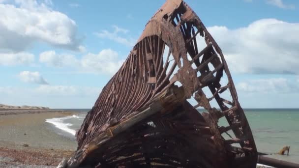 Rezavý vrak vrak nákladní lodi na ocean beach v San Gregorio. — Stock video