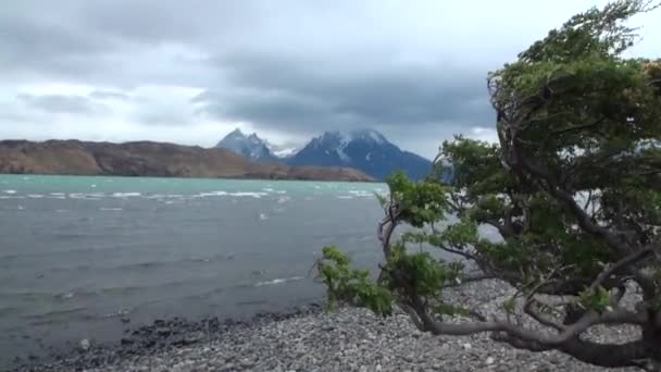 Panorama van de besneeuwde bergen op de achtergrond van de Oceaan kust op Antarctica. — Stockvideo