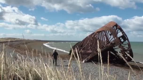 生锈的残骸沉船上海滩海洋中圣格雷戈里附近的女孩旅游. — 图库视频影像