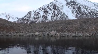 Tundra içinde Svalbard ıssız buz kayalık sahil kutup ayısı devam.
