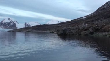 Beyaz Deniz ayıdır kayalık sahilde Svalbard buz tundra ıssız.