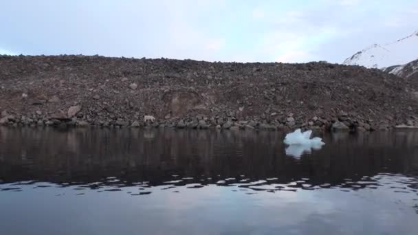 Beyaz deniz ayısı Svalbard buz tundra içinde kayalık kıyısında terk edilmiş. — Stok video