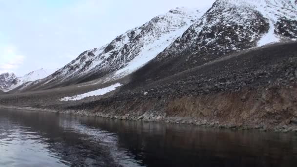 Morza białego niedźwiedzia jest na skalistym brzegu w opuszczony z lodowej tundrze Svalbard. — Wideo stockowe