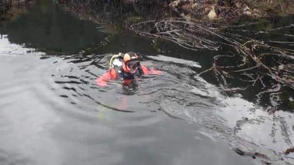 Plongeur avec caméra dans l'eau Alaska . — Video