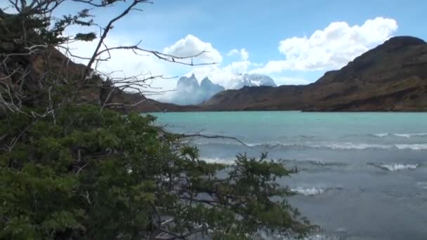 Rio de montanha e relaxar na Patagônia Argentina . — Vídeo de Stock