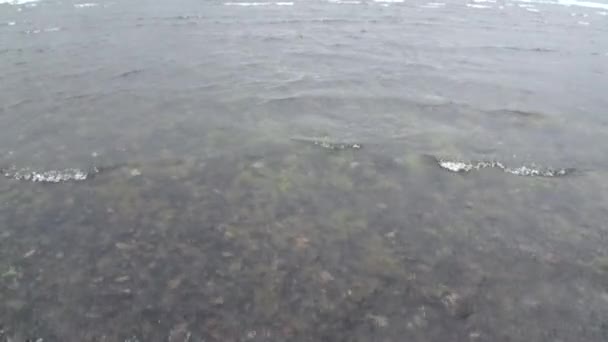 Čistá voda hory v Patagonia Argentina. — Stock video
