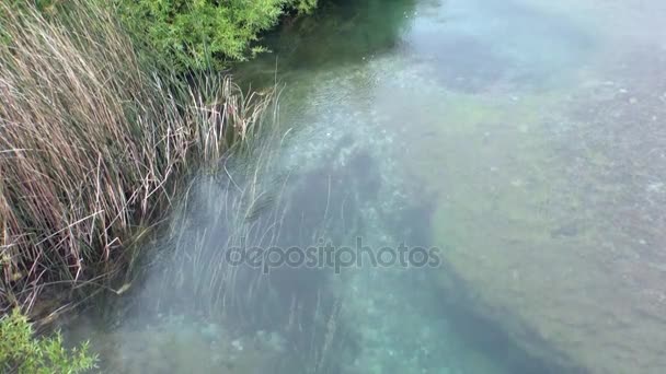 Спокійна чиста вода у гірській річці відпочити в Патагонії, Аргентина. — стокове відео