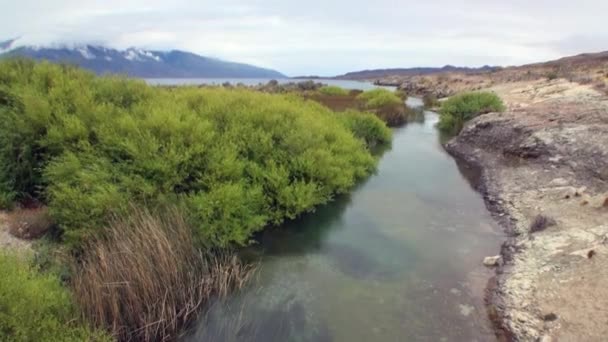 Rena lugnvatten i mountain river koppla av i Patagonien Argentina. — Stockvideo