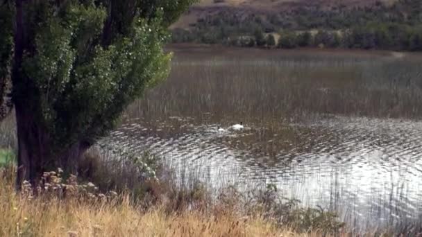 アルゼンチン パタゴニアの山の湖. — ストック動画