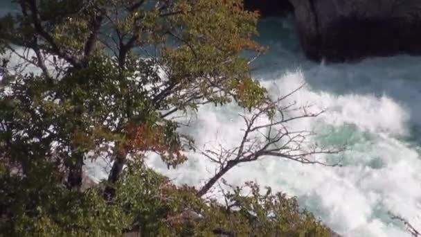 Dağ nehir Rapids güç su Patagonya Arjantin göster.. — Stok video
