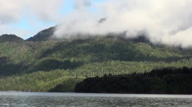 Yeşil dağ nehir tekne Patagonya Arjantin görünümünden kıyısında.