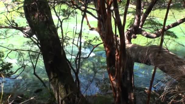 Gebirgsfluss zeigt Wasserkraft in Patagonien Argentinien. — Stockvideo