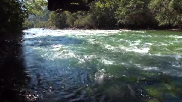 Forsar av mountain river Visa power vatten i Patagonien Argentina. — Stockvideo