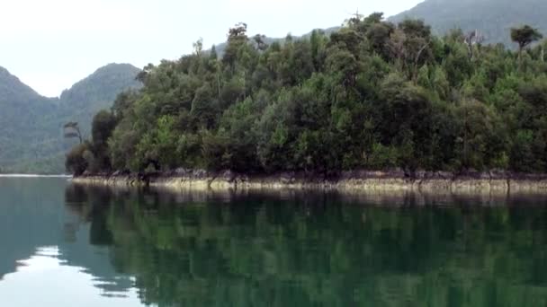 Ακτή του καταπράσινου βουνού και θέα στο ποτάμι από βάρκα στην Παταγονία Αργεντινή. — Αρχείο Βίντεο