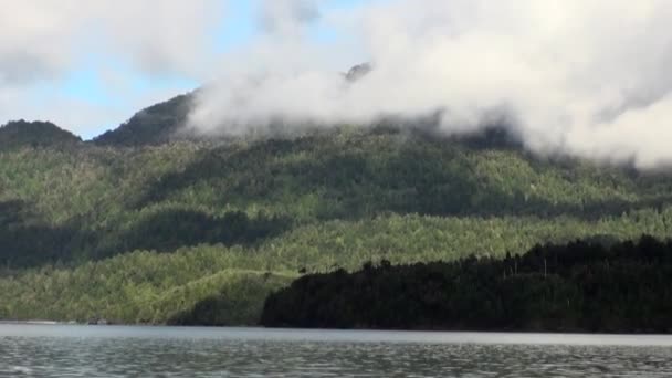 Coast of green mountain river view from boat in Patagonia Argentina. — Stock Video