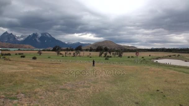 Chica toma fotos de aves en montañas verdes y nevadas de Argentina . — Vídeos de Stock