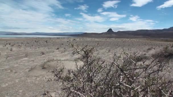 Woestijn op kustlijn van Oceaan in Argentinië. — Stockvideo