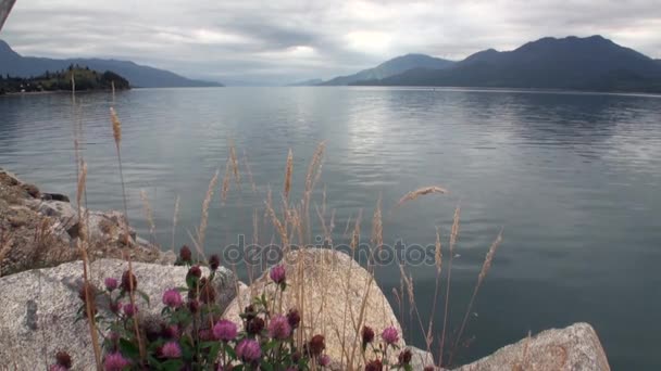 Kusten av havet och grön bergsutsikt från båt i Patagonien Argentina. — Stockvideo