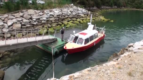 Kust van stone mountain view aan Oceaan in Patagonië Argentinië. — Stockvideo