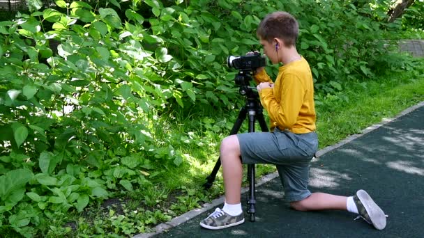 Kleiner Junge schaut in Video-Aufnahmen Film über die Natur auf grünen Park Zeitlupe. — Stockvideo