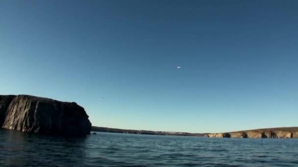 Rocas de piedra entre la superficie del agua del Océano Ártico en la Nueva Tierra . — Vídeo de stock