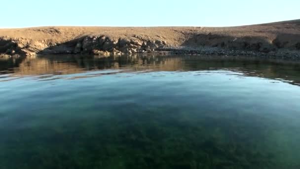 Kusten och rent klart vattenytan av ishavet New Earth Vaigach Island. — Stockvideo