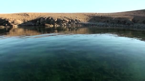 Coast and clean clear water surface of Arctic Ocean on New Earth Vaigach Island. — Stock Video