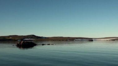 Sahil ve Kuzey buz denizi yeni dünya'nın yüzey temiz temizlemek su kar.