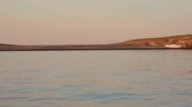 Yeni Dünya Vaigach adasında Arktik Okyanusu Sahili ve günbatımı ve su yüzeyine.