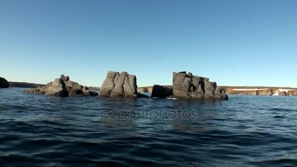 Rocas de piedra entre la superficie acuosa del Océano Ártico en la Nueva Tierra . — Vídeos de Stock