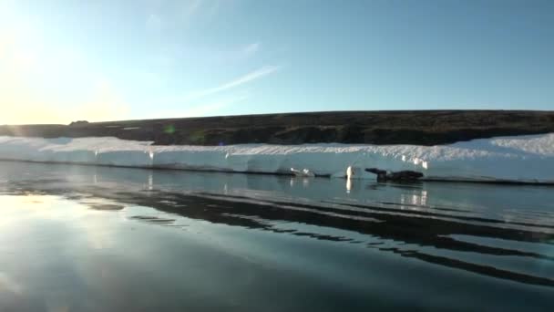 海岸と新しい地球の北極海の水で雪が降る. — ストック動画