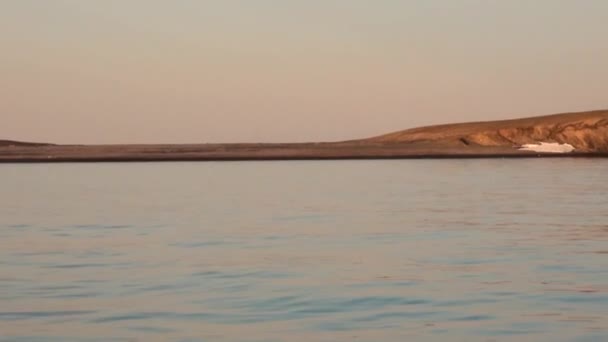 Pobřeží a západ slunce a vody povrch ledového oceánu na New Earth Vajgač. — Stock video