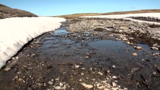 Schoon helder water in creek op de kust van de Noordelijke IJszee op de nieuwe aarde. — Stockvideo