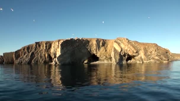Πέτρα πέτρες μεταξύ νερό επιφάνεια του Αρκτικού Ωκεανού στη νέα γη. — Αρχείο Βίντεο