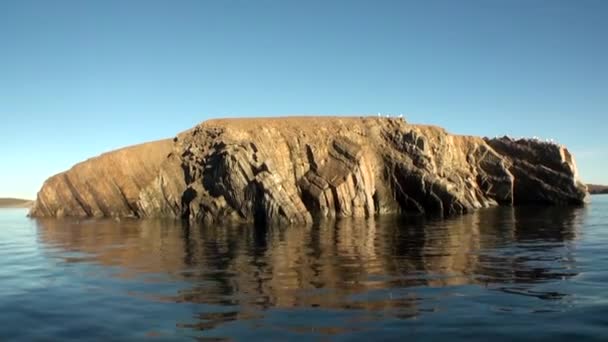 Rocce di pietra tra superficie dell'acqua di Oceano Artico su Nuova Terra . — Video Stock