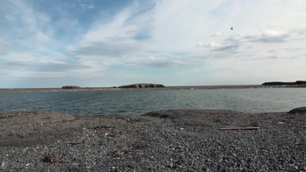 Küste und Wasseroberfläche des arktischen Ozeans auf neuer Erde. — Stockvideo