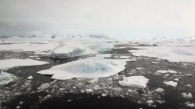 Hareket ve kar kıyı şeridi okyanus Antarktika buz.
