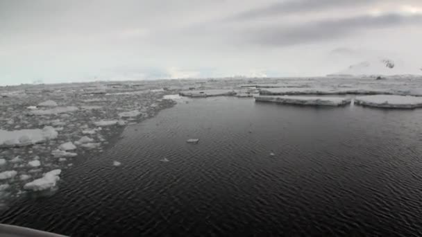 Tätningar på isflak snö i havet av Antarktis. — Stockvideo