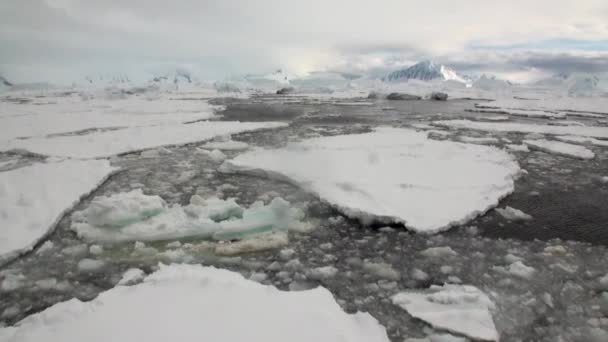 Glaciar de hielo iceberg y costa de nieve en el océano de la Antártida . — Vídeo de stock