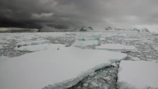 Movimiento de hielo y costa de nieve en el océano de la Antártida . — Vídeo de stock